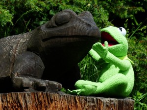 foto de la rana Gustavo hablando en inglés a un camaleon